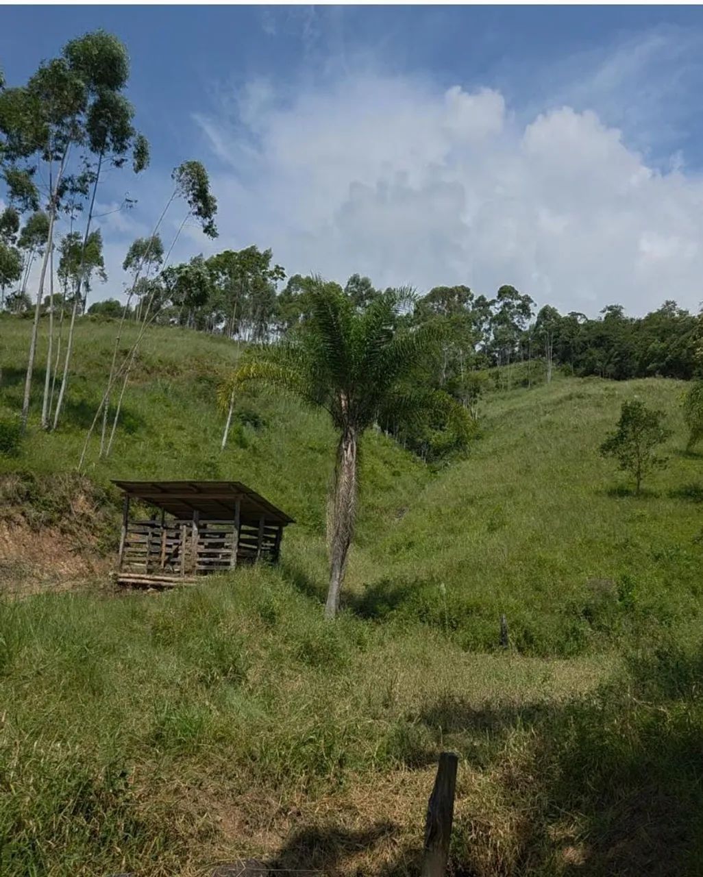 Terreno para sítio com água e energia - Foto 4