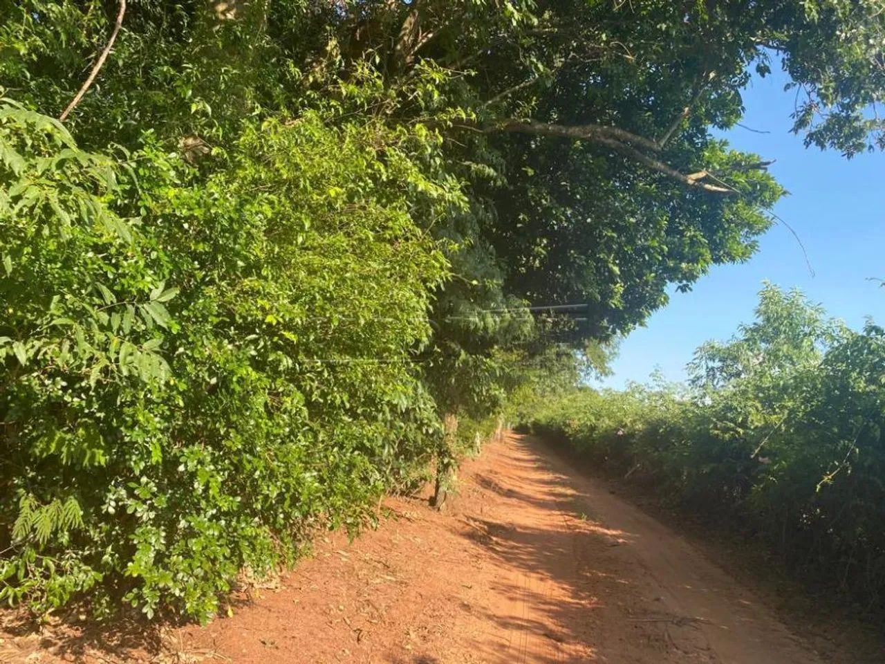Rural Sítio em Dourado - Foto 2