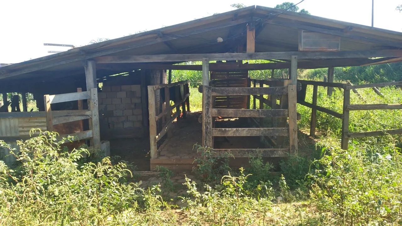 Chácara 6,52 ha com casa perto de Presidente Olegário - Foto 3