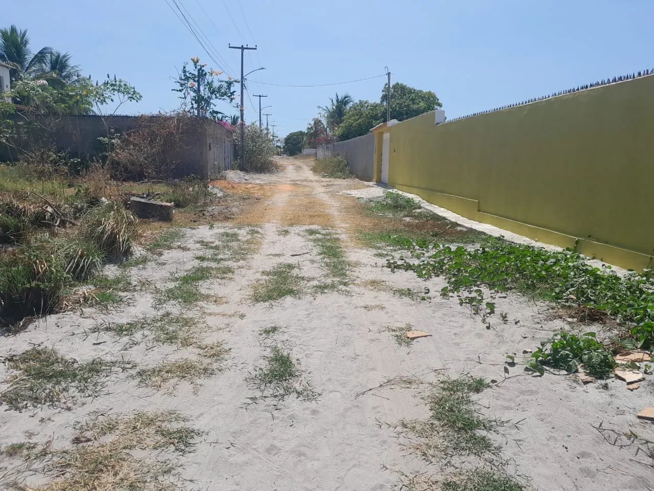 Terreno em Catuama - Foto 4