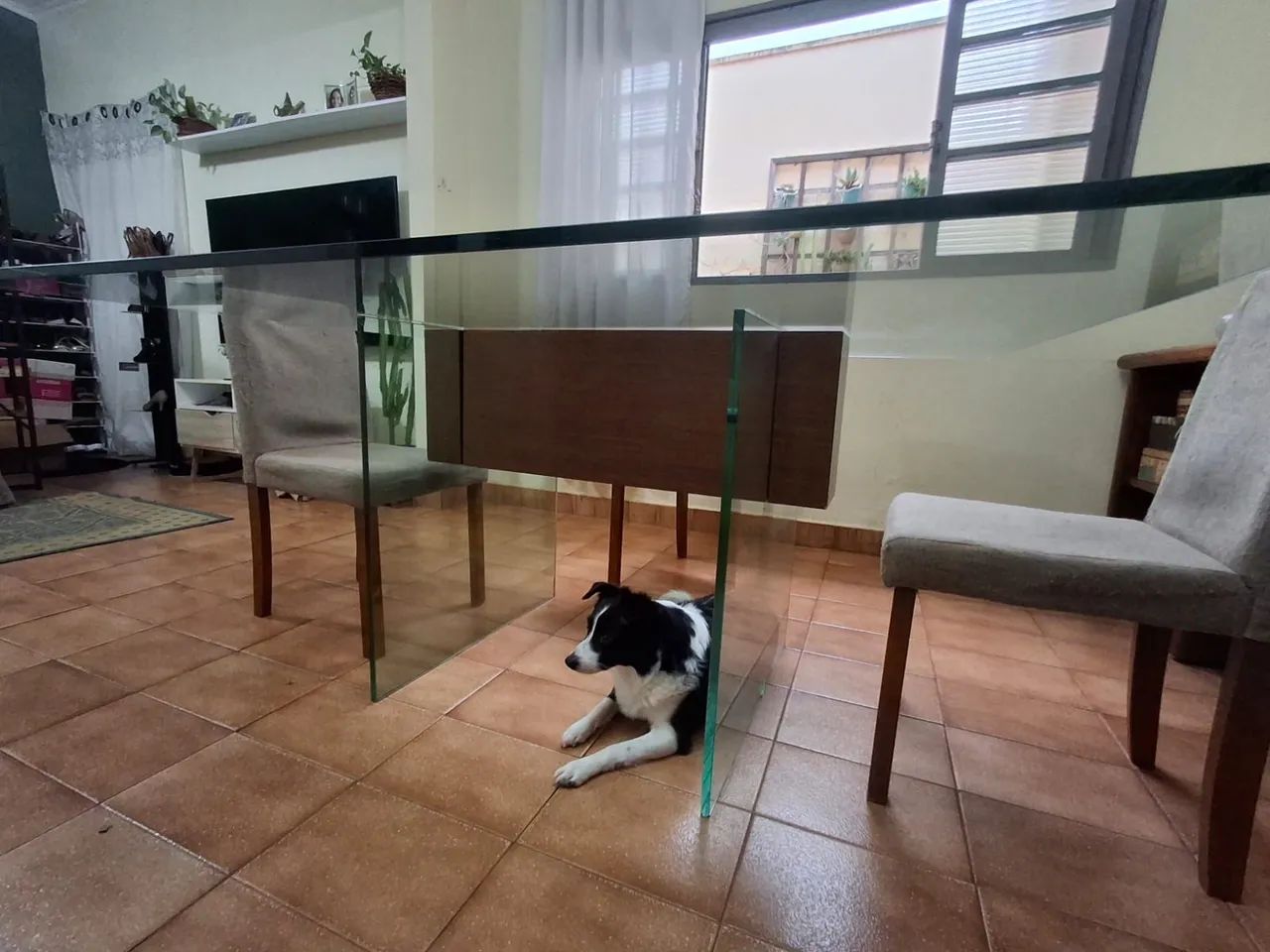 Mesa de vidro - Foto 3