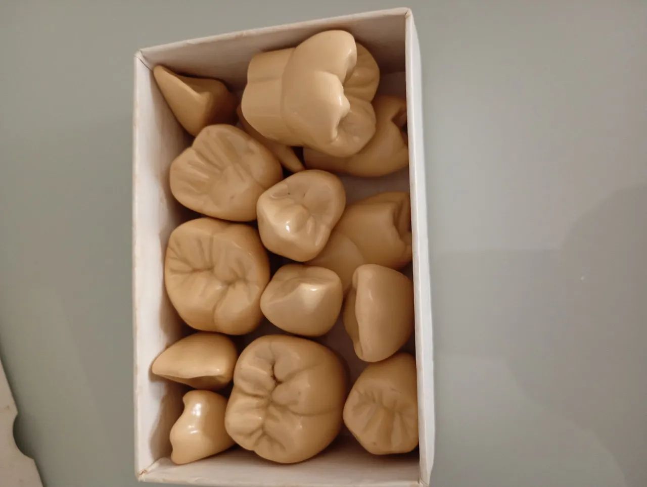Escultura de dentes odontológico  - Foto 2