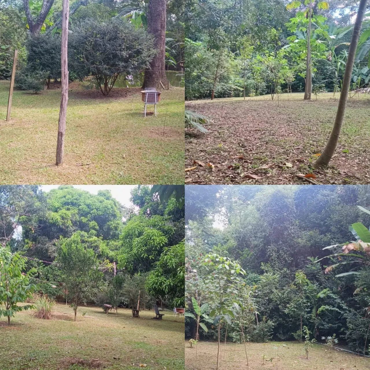 Vendo uma linda chácara  - Foto 4