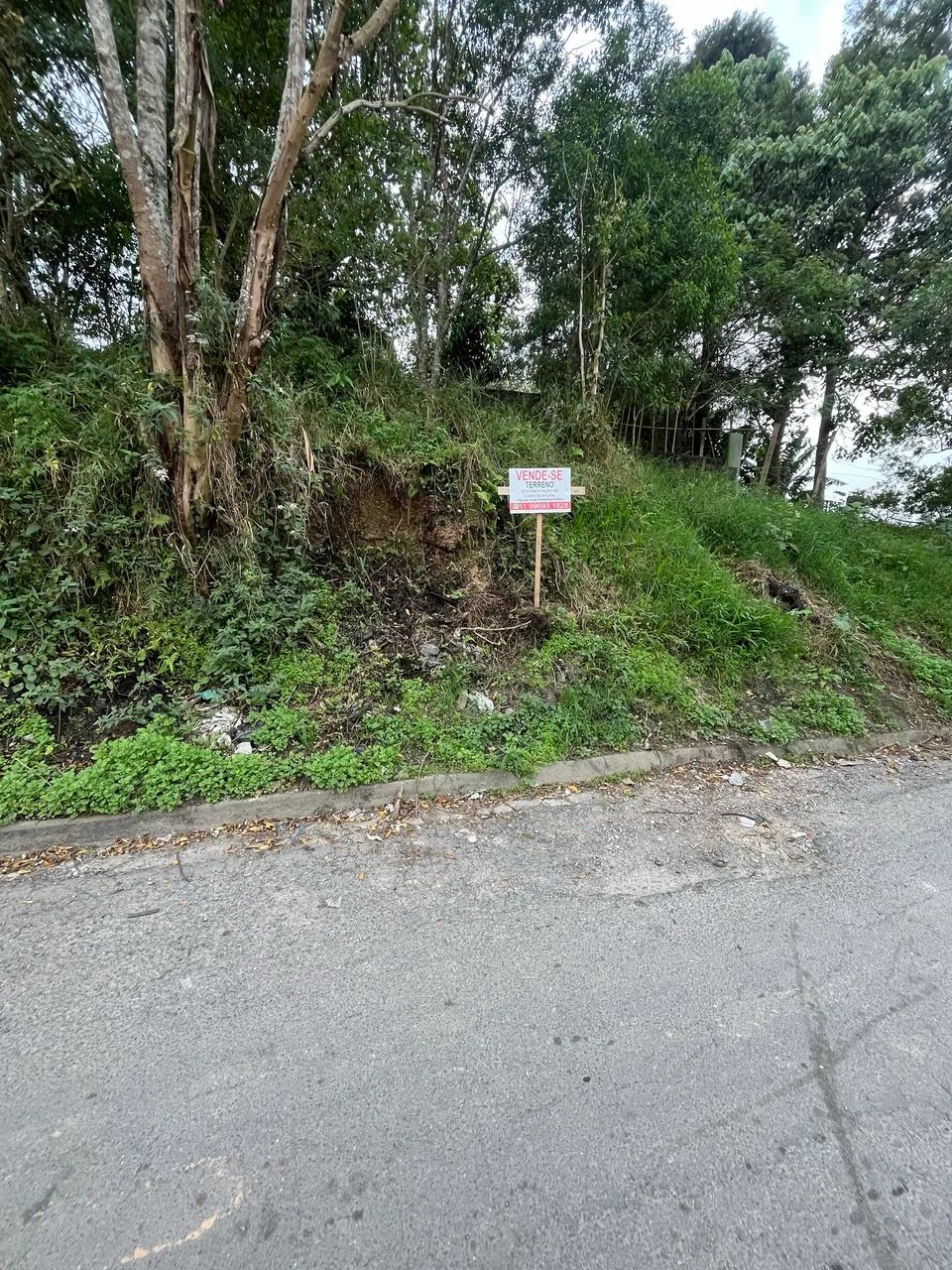 Terreno com escritura  - Foto 3