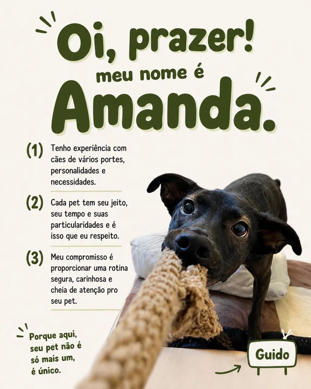 Pet Sitter | Hospedagem, Creche e Passeio para Cães - Foto 2