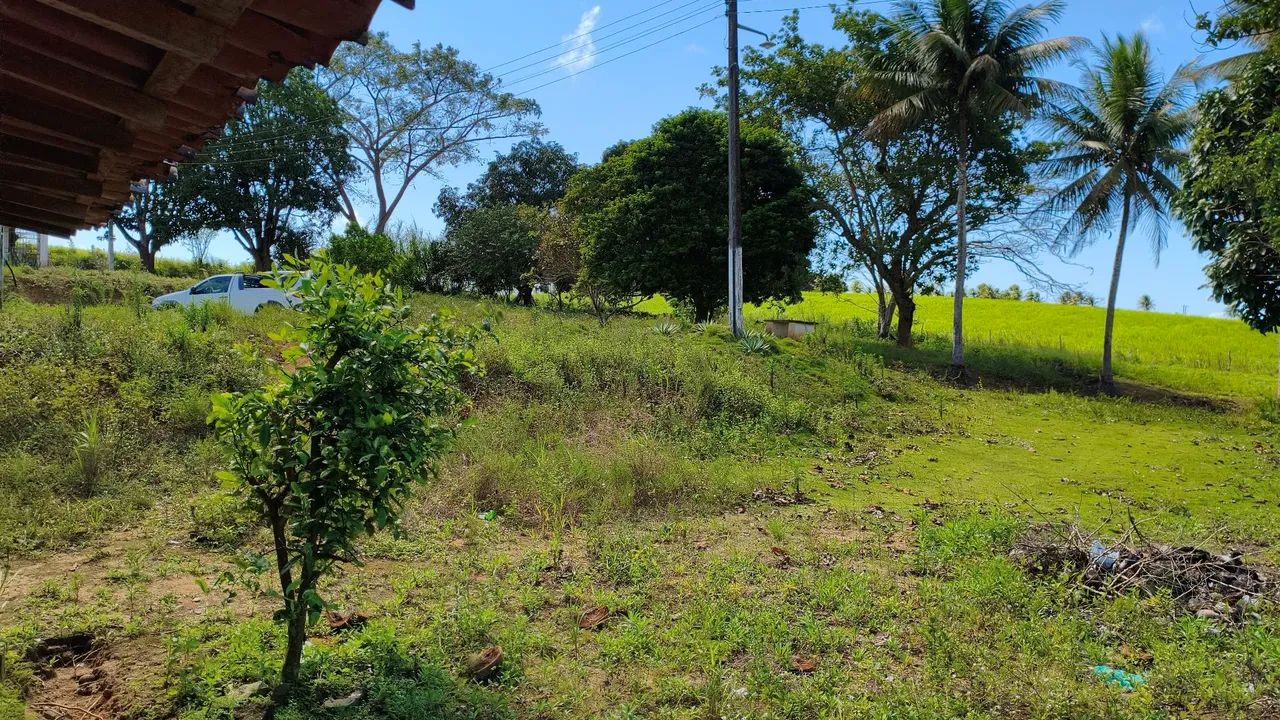 Excelente sítio no Condé  - Foto 2