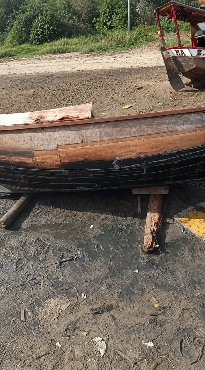 Biana motor 11 yanmar - Foto 3