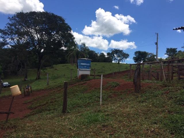 Fazenda com 5,5 Alqueires, Toda Formada, Pontalina Goiás, - Foto 15