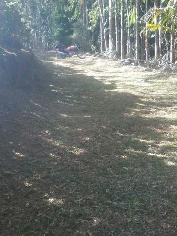 Chacara pedra preta - Foto 11