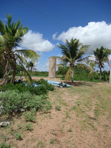 Vendo Fazenda em Ceará Mirim - Foto 12