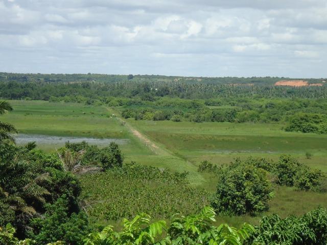 Vendo Fazenda em Ceará Mirim - Foto 15