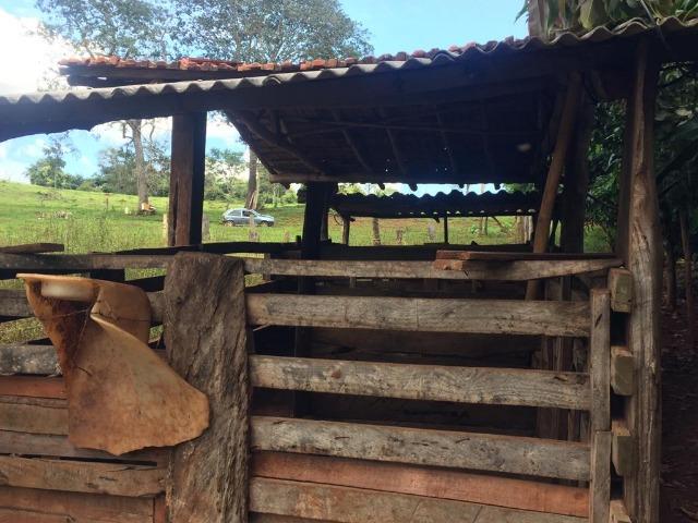 Fazenda com 5,5 Alqueires, Toda Formada, Pontalina Goiás, - Foto 8
