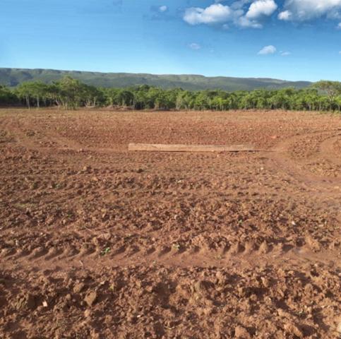 Vendo propriedade em Rosário Oeste - Foto 3