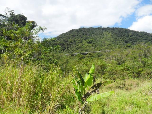 Vista incrível de mata para reserva legal (regiões Caraguatatuba e Salesópolis) - Foto 3