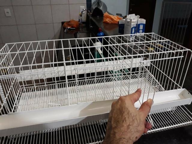 Gaiola para codorna - Foto 5