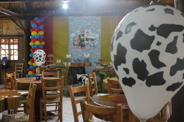 Oportunidade de negocio: Chácara para Eventos e/ou Restaurante/café colonial. - Foto 12