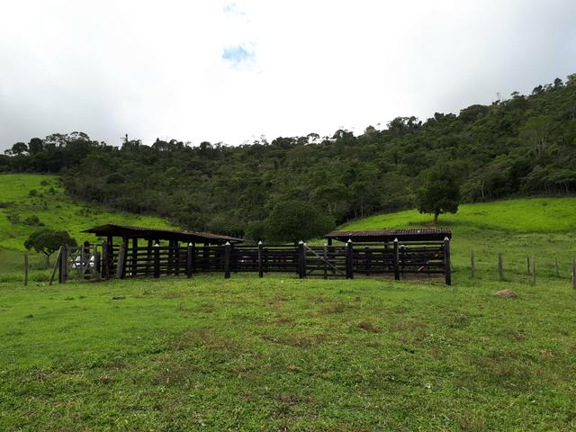 Venda ou arrendamento Excelente Fazenda 540 tarefas em Ubaira - Foto 12