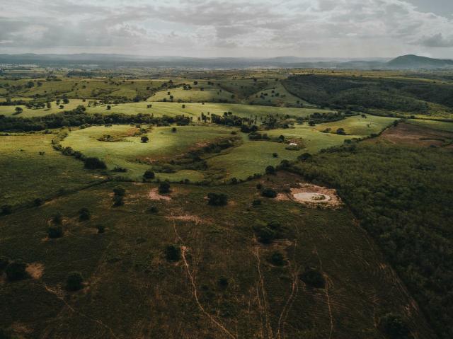 Fazenda 80 por cento pronta em pombos
