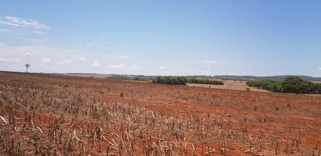 Fazenda em Rio Verde 28 alqueires | 170 mil | Valor de Oportunidades - Foto 4