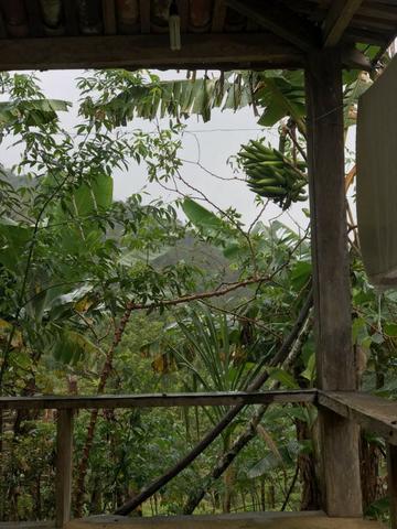 Vende-se Fazenda no Boqueirão de Itajuru - BA - Foto 4