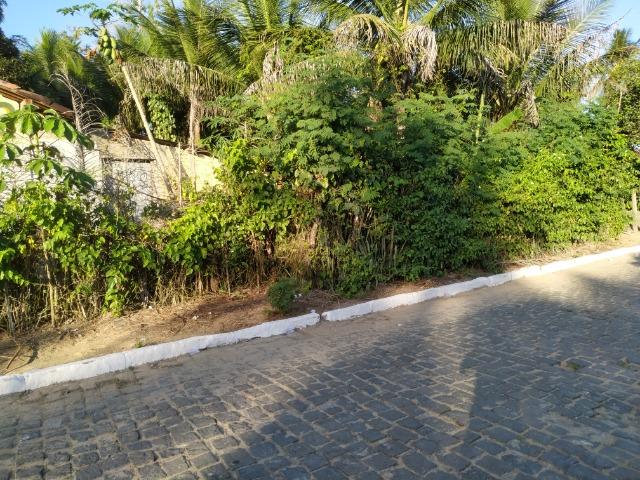 Sítio na Vila Temão - Jitaúna - Foto 20