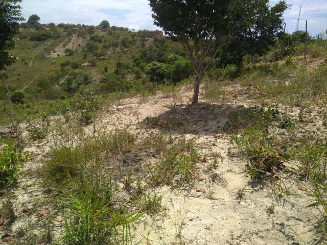 Terreno em Tamandaré! - Foto 5