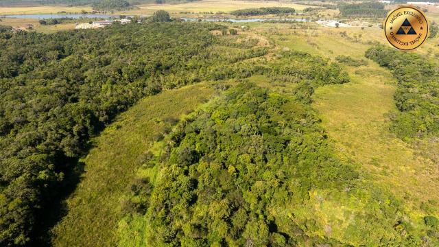TERRENO à venda, 90.000,00M² por R$4.500.000,00 - MORRO GRANDE - BARRA VELHA/SC - Foto 12