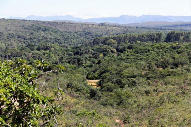 Lindas fazendinhas de 20 mil metros, Serra do Cipó (Temos varias opções). - Foto 4
