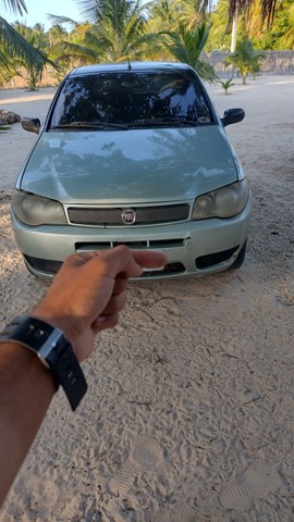 PALIO 2009 2010