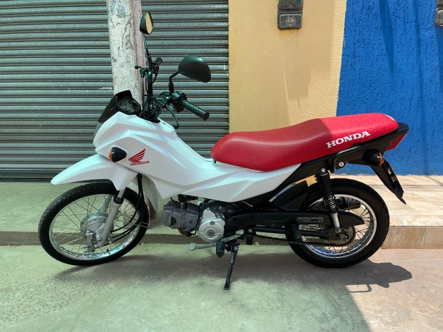 POP 110 2019