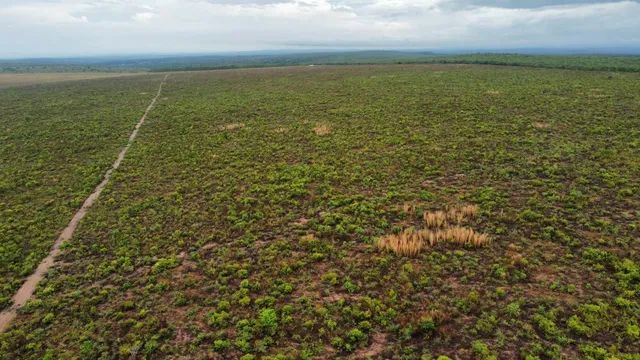 FAZENDA  DE OPORTININADE TOCANTINS  - Foto 2
