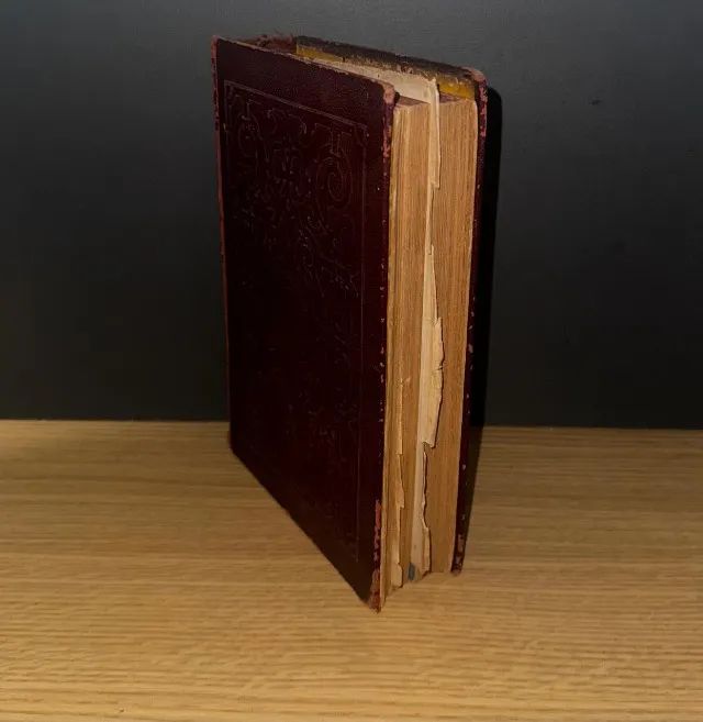 Dicionario Da Lingua Portuguesa A-g 1965 - Raro Colecionador - Foto 3
