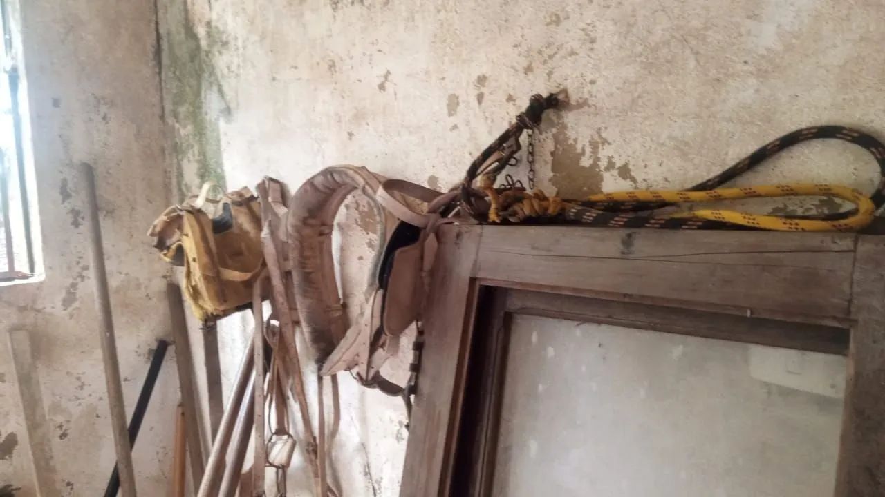 Tudo por 6.000$ - Foto 3