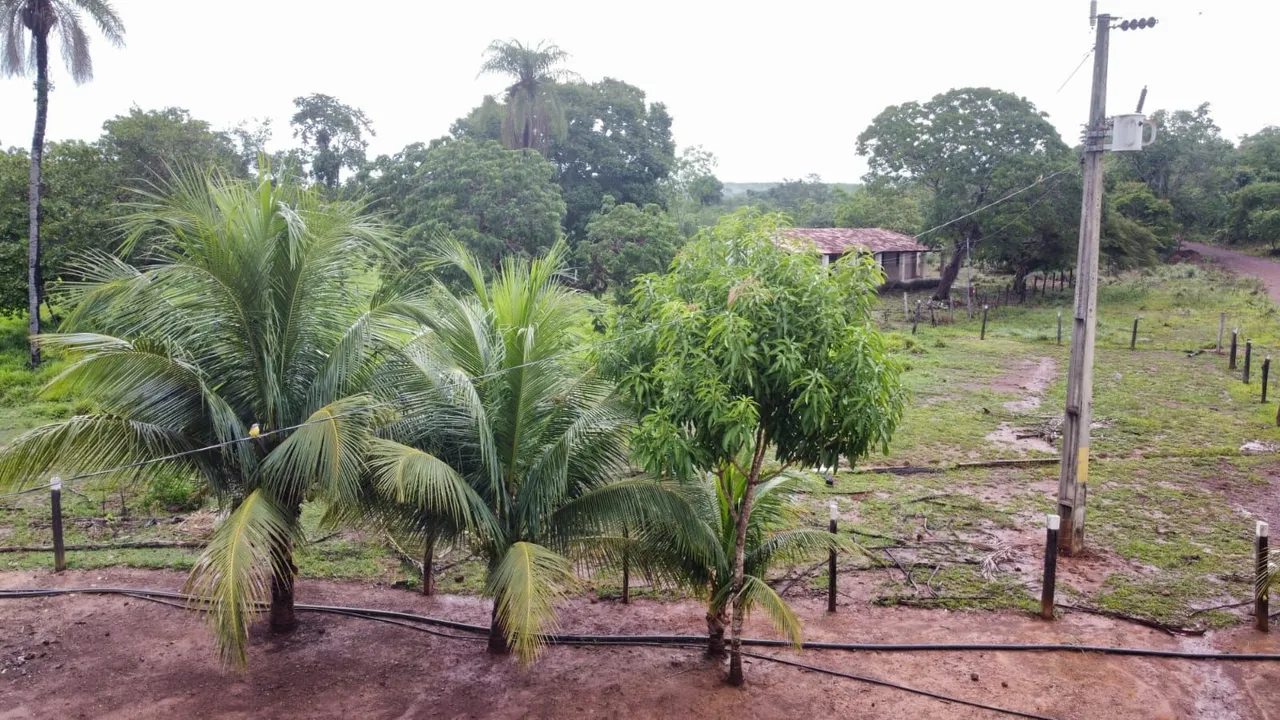 Sítio com área verde e casa sede