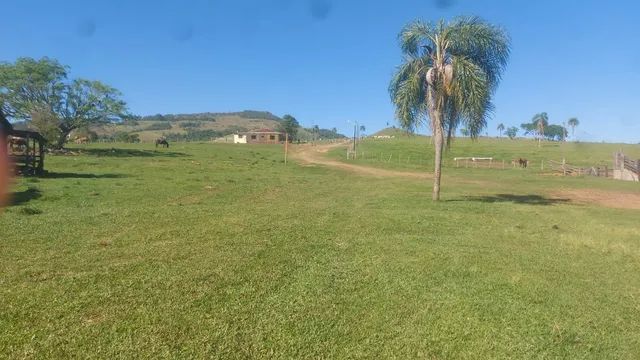 Fazenda  de Pecuaria   289 alqueires  - Foto 4