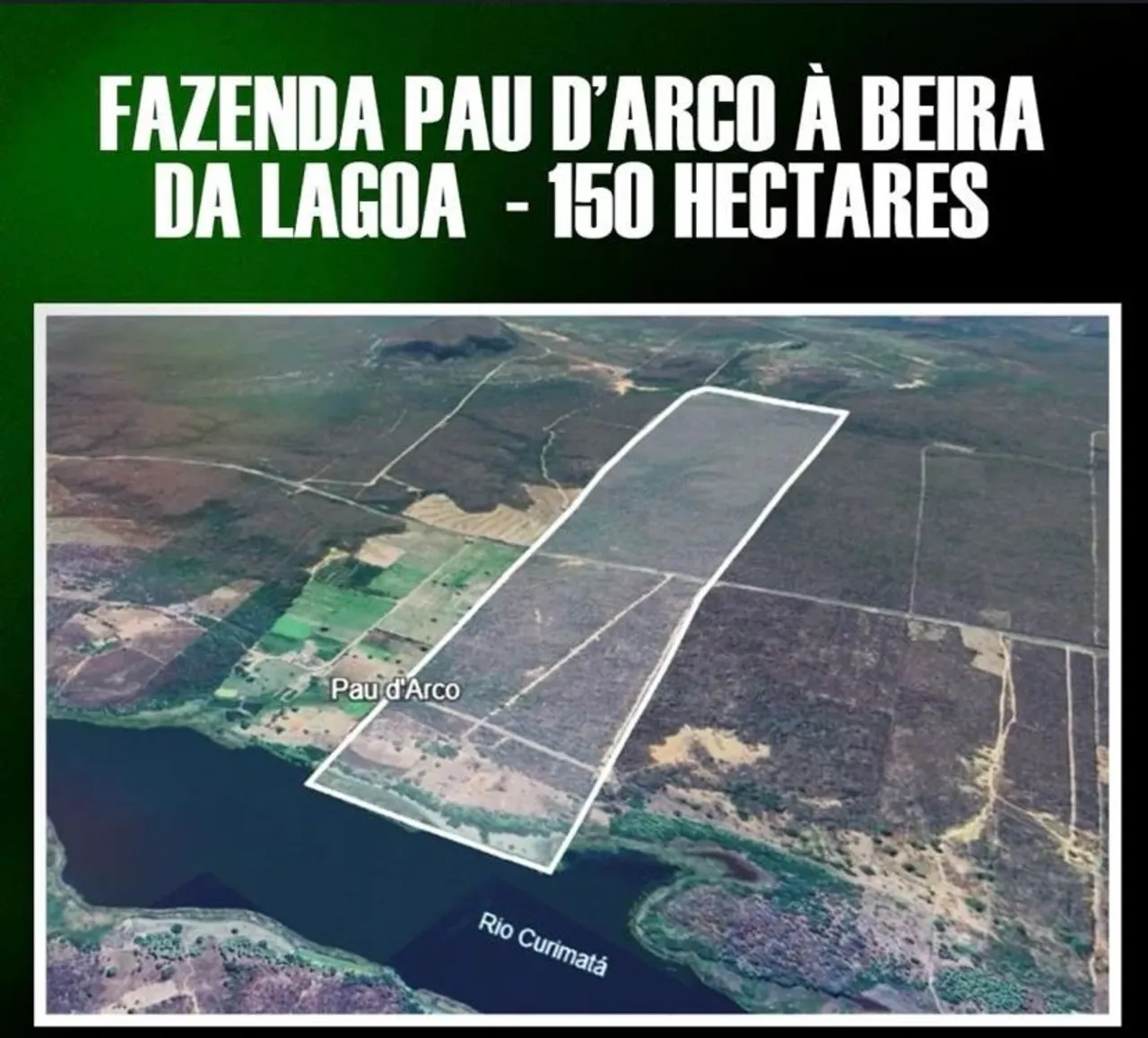 Fazenda com 153 hectares, lagoa que não seca e poço artesiano de alta vazão | Curimatá-PI