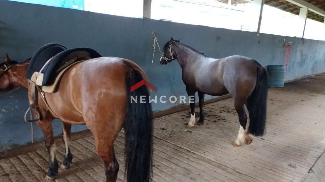 Chácara em Rua São Josemaria Escrivá - Colônia Murici - São José dos Pinhais/PR - Foto 15