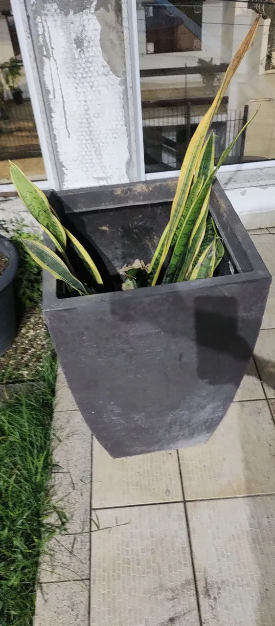 Vaso de Planta Quadrado de plástico