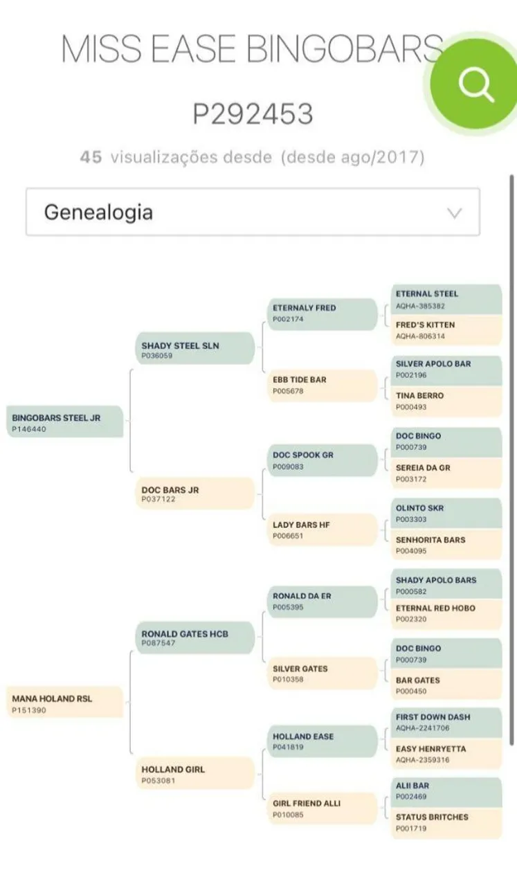 Égua Quarto de Milha PO