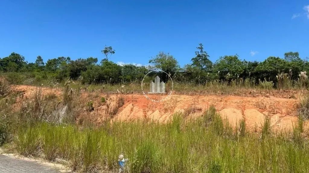 Terreno em Forquilhas - São José - Foto 5