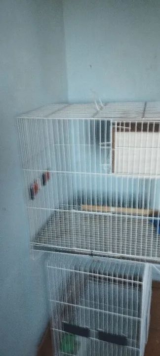 Gaiola de calopsita completa