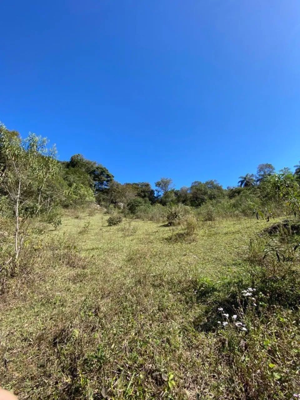 foto - Brumadinho - 