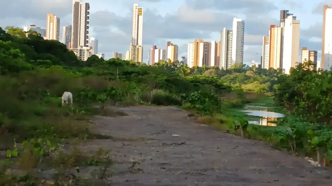 Vendo Granja Dentro de João Pessoa  - Foto 2