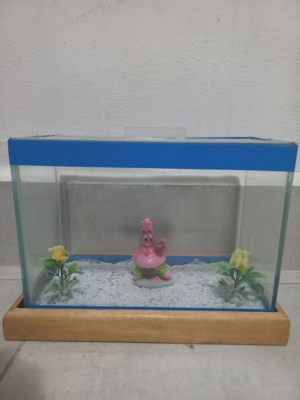 Aquário 64309551368322120