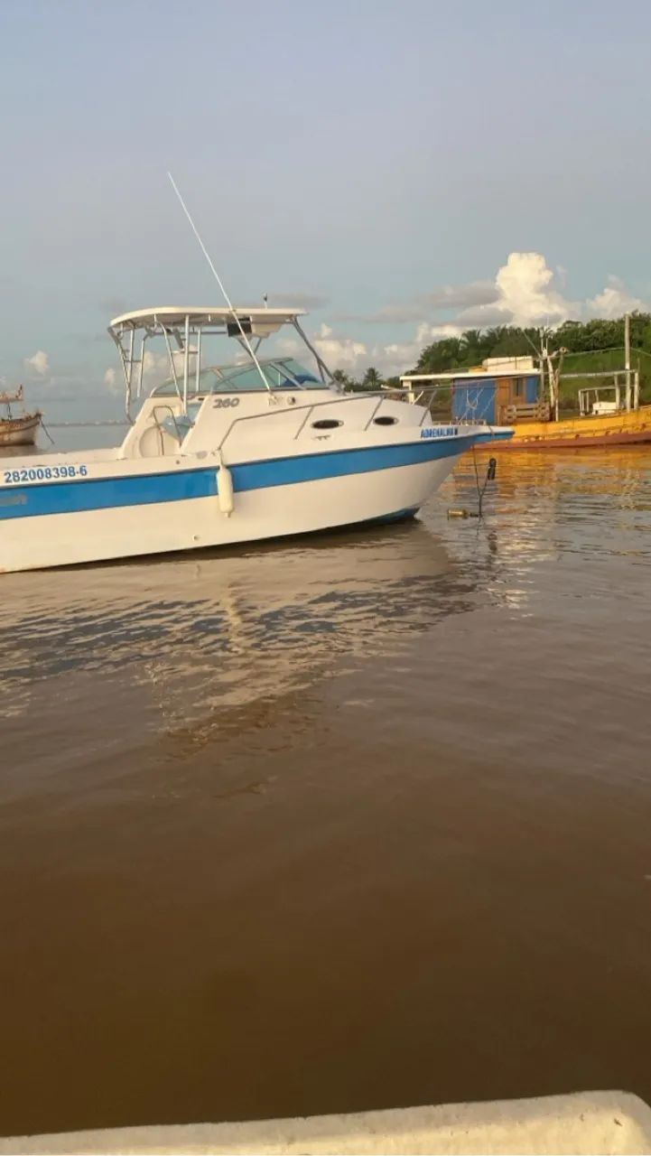 Wellcraft WA 260 - Foto 9