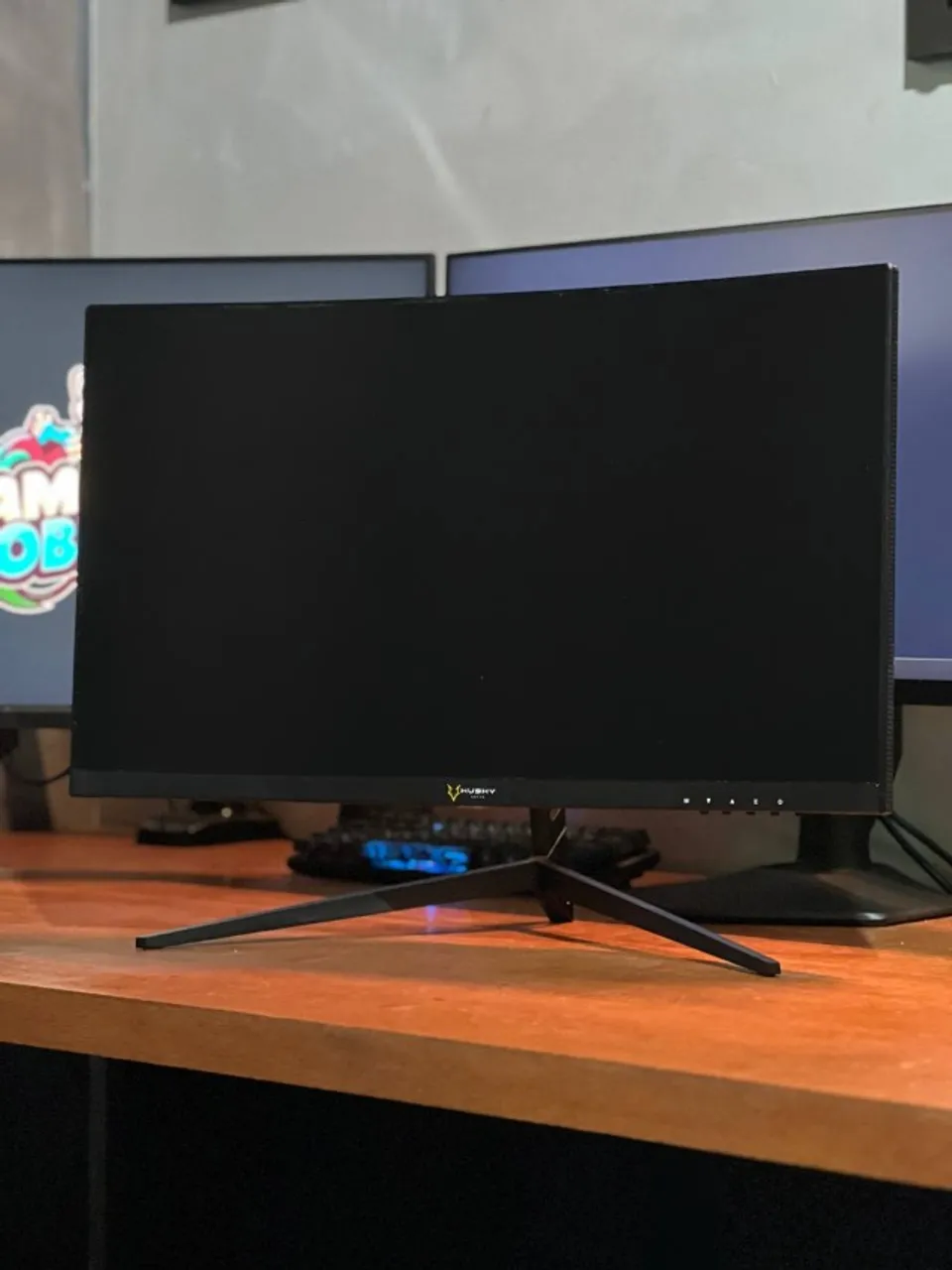 Monitor Husky 24? Curvo 165hz