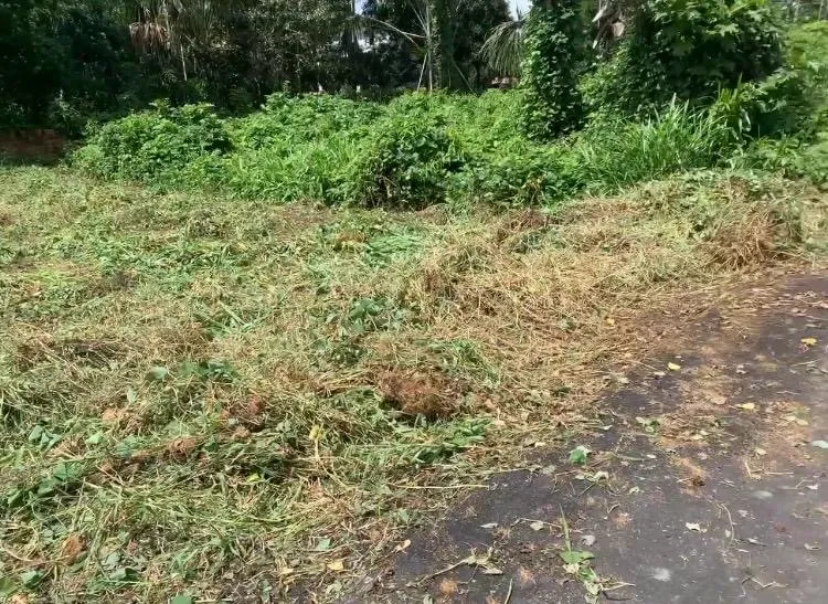 Terreno 10x30 Tarumã