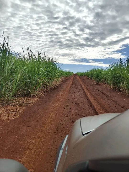 Propriedade de cana  35 alqueire  - Foto 5
