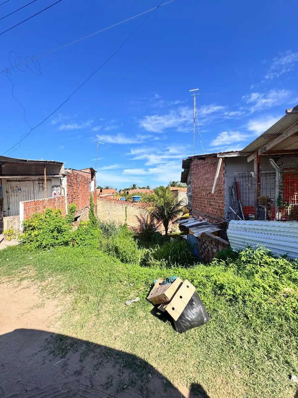 Vendo terreno as margens da RODOVIA AL 101 NORTE, em Sauaçuy.  - Foto 2