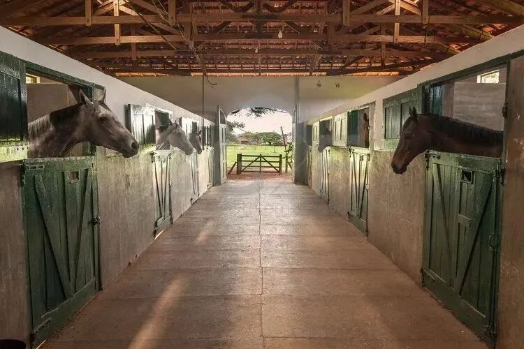 Terreno à venda no Haras Patente Jaguariúna - Foto 4
